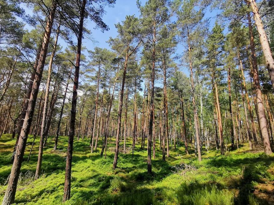 Campolohel- Przyczepa Kempingowa Exterior foto